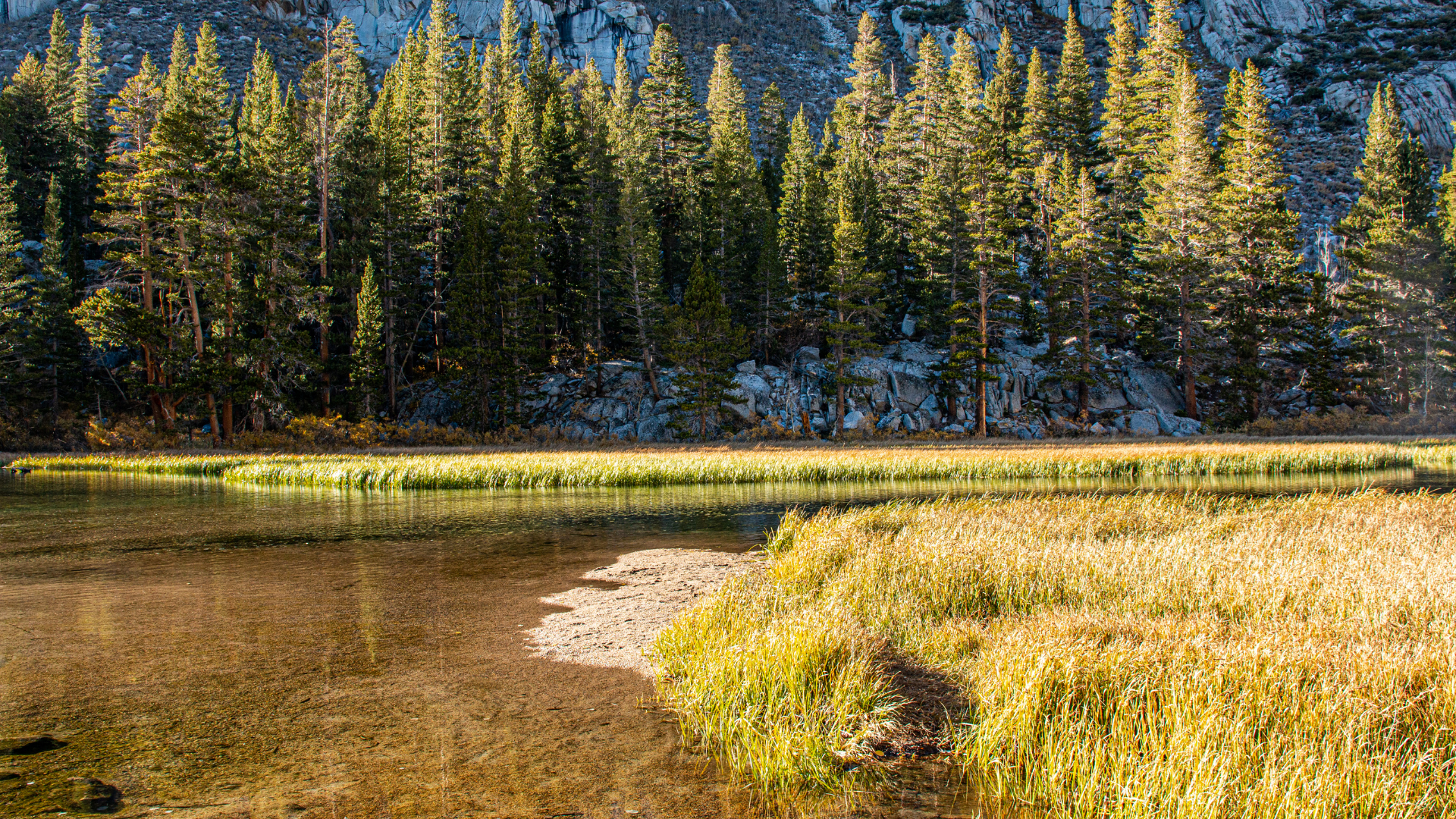A stream in the rocky mountains